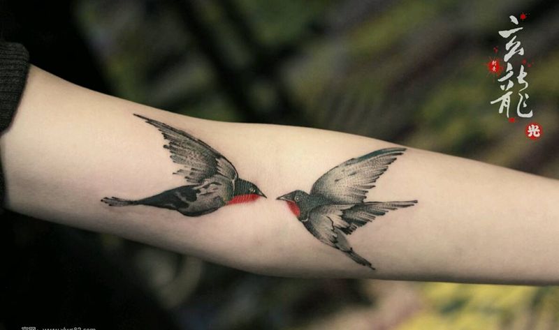 双飞燕纹身图片