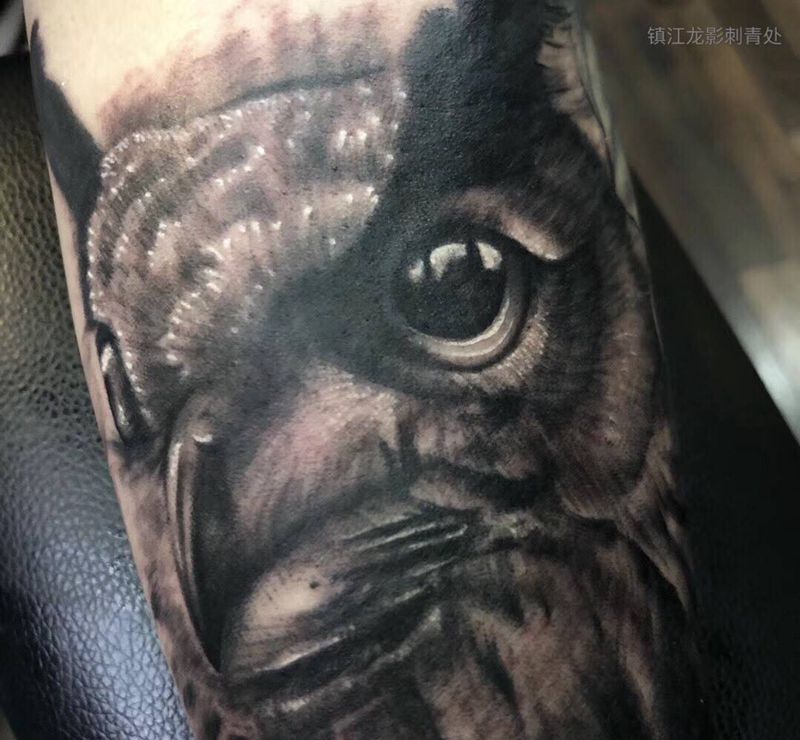 象征智慧意义的猫头鹰，一条手臂的局部，未完待续纹身图片