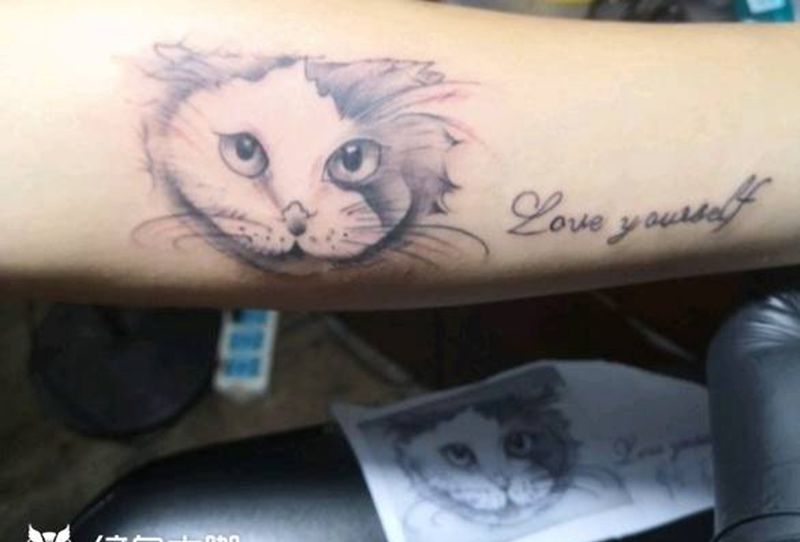 小猫纹身图片_手臂纹身图案