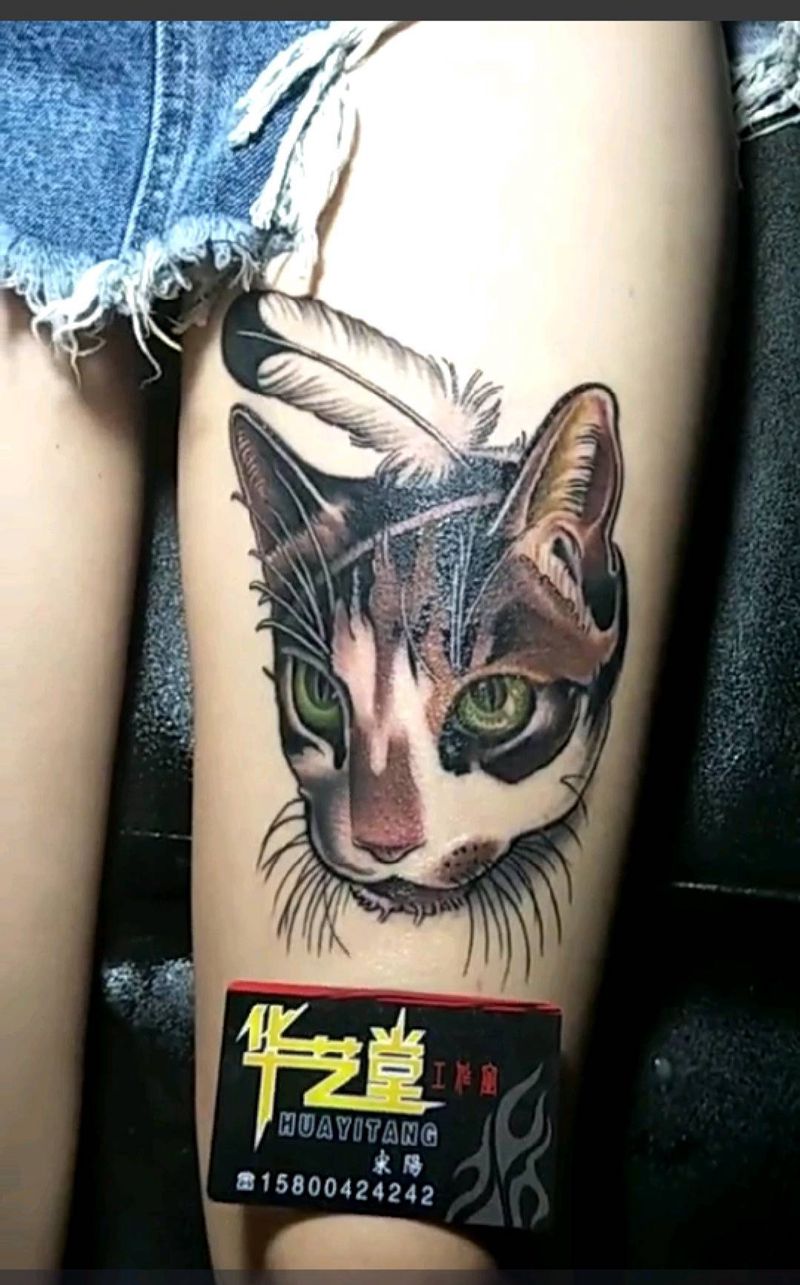 小猫纹身图片