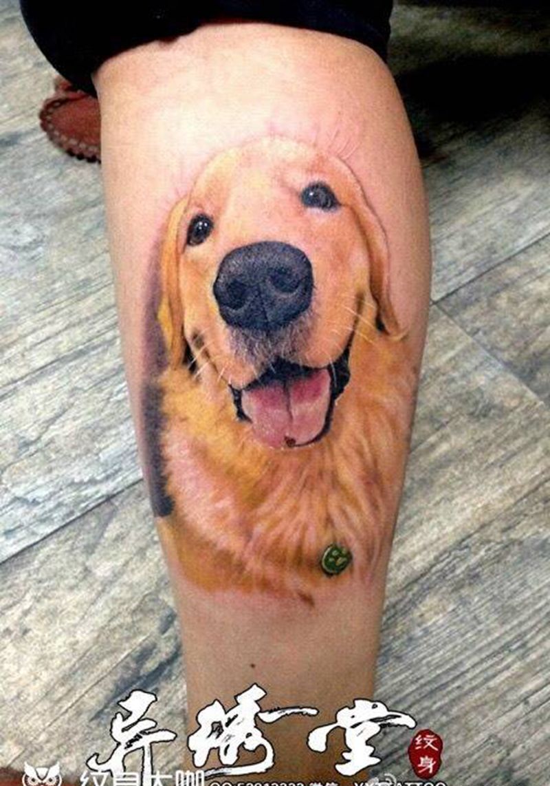 金毛纹身图片_成品腿部脚部欧美写实肖像动物原创纹身图案