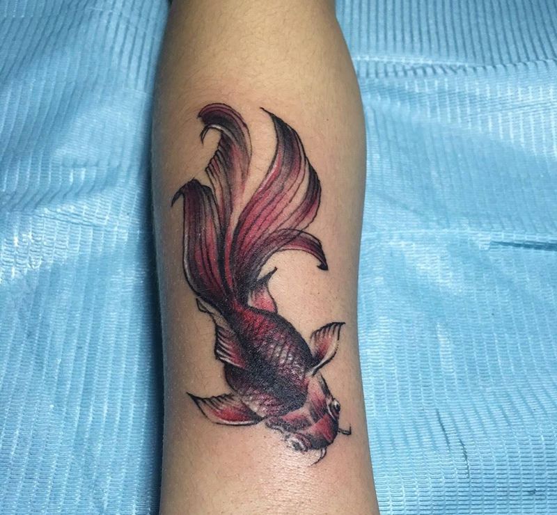 遮盖作品 小金鱼纹身图片