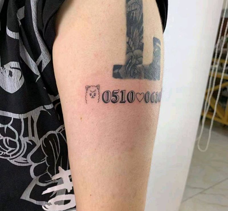 数字纹身图片_手臂小清新纹身图案
