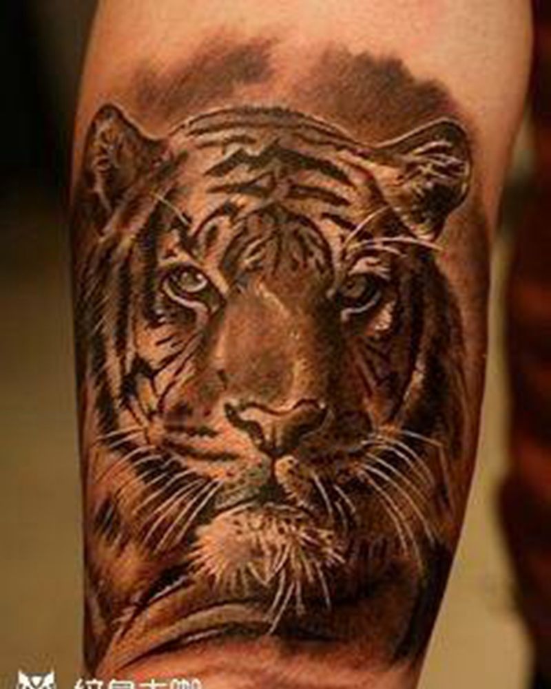 老虎纹身纹身图片