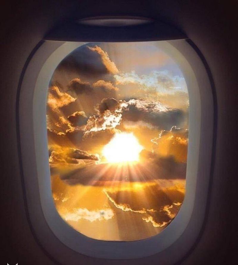 窗外纹身图片_胸部传统贴纸静物手部颈部脚部肩部植物纹身图案