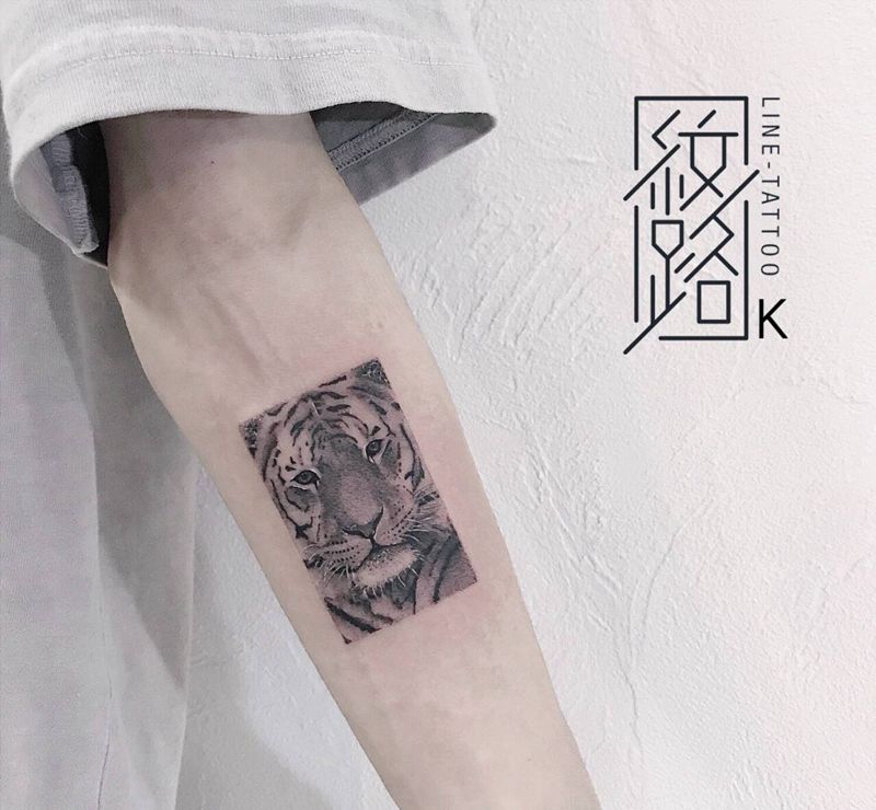 老虎 吴亦凡纹身图片_手臂点刺纹身图案