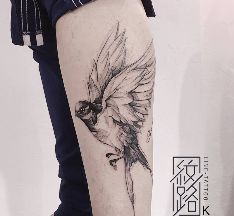 燕子纹身图片_腿部燕子鸟纹身图案