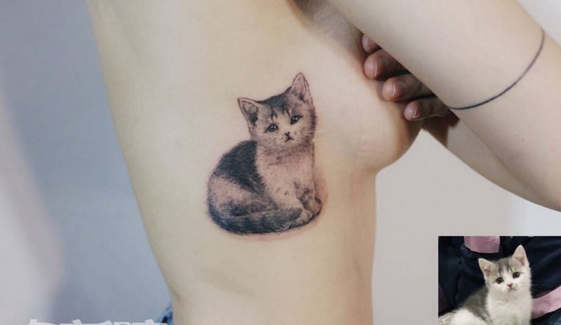 写实猫咪纹身图片_腰部欧美写实纹身图案