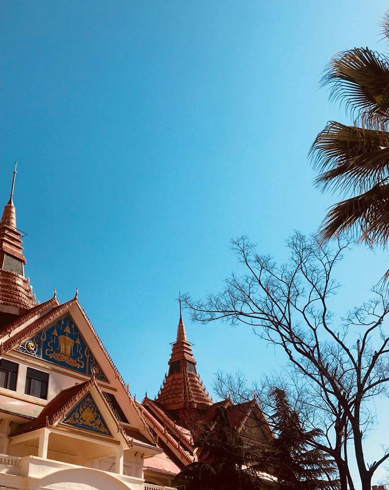 大理国纹身图片_颈部胸部腹部手臂腰部肩部腿部背部臀部手部纹身图案