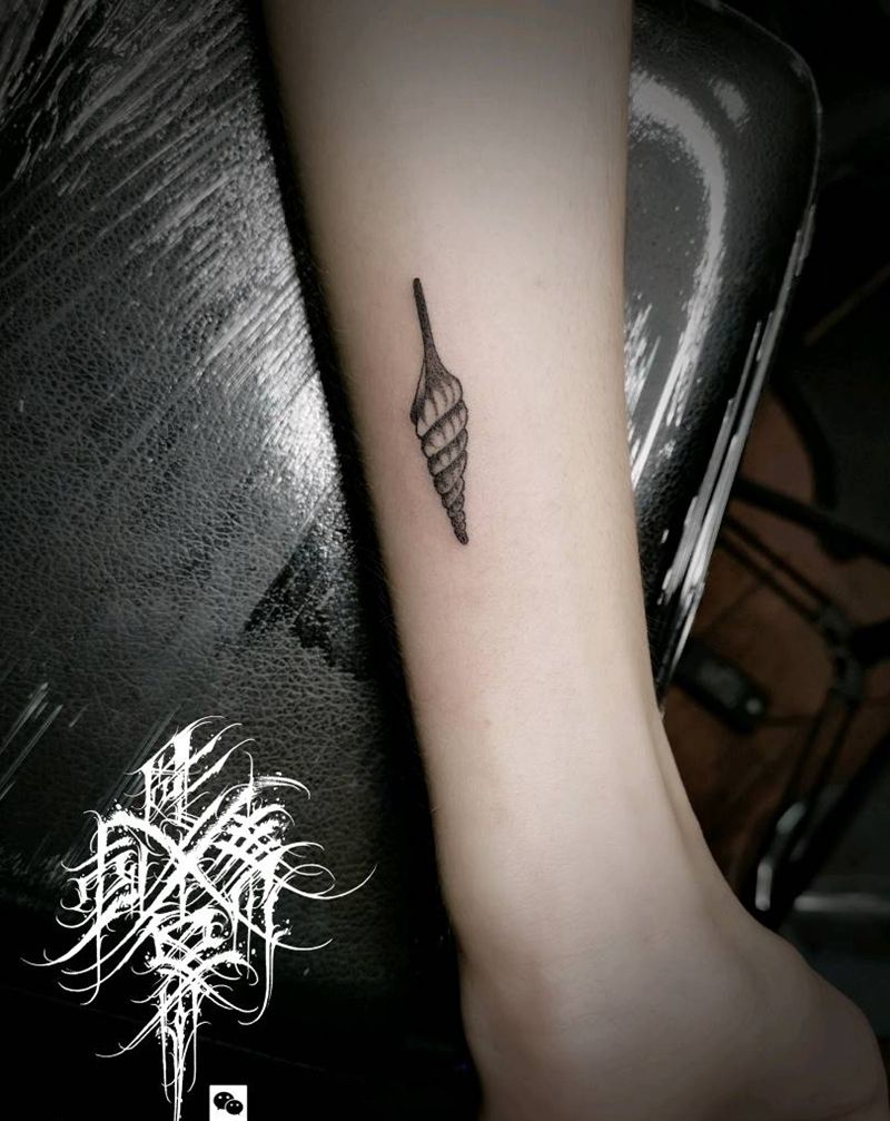 小海螺纹身图片_手臂小清新纹身图案