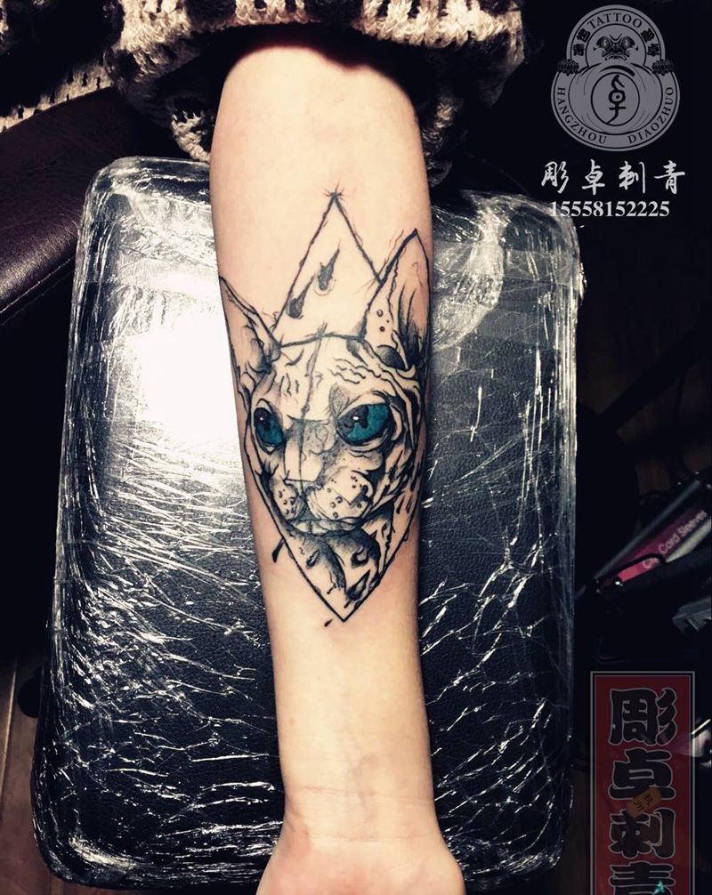 小臂猫纹身图片_成品手臂欧美动物猫水墨杭州纹身图案
