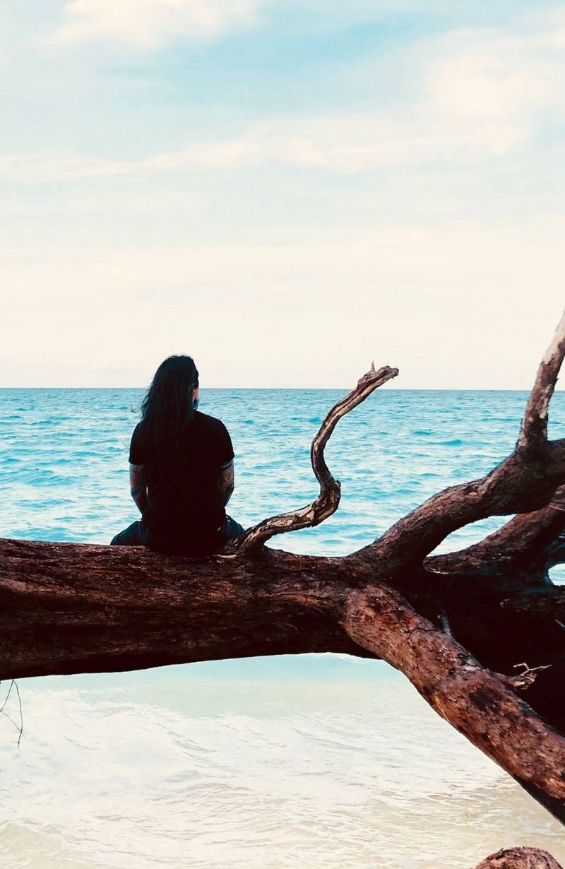 结束美人鱼岛旅行纹身图片_成品手稿插画颈部肩部胸部腰部背部臀部腹部纹身图案