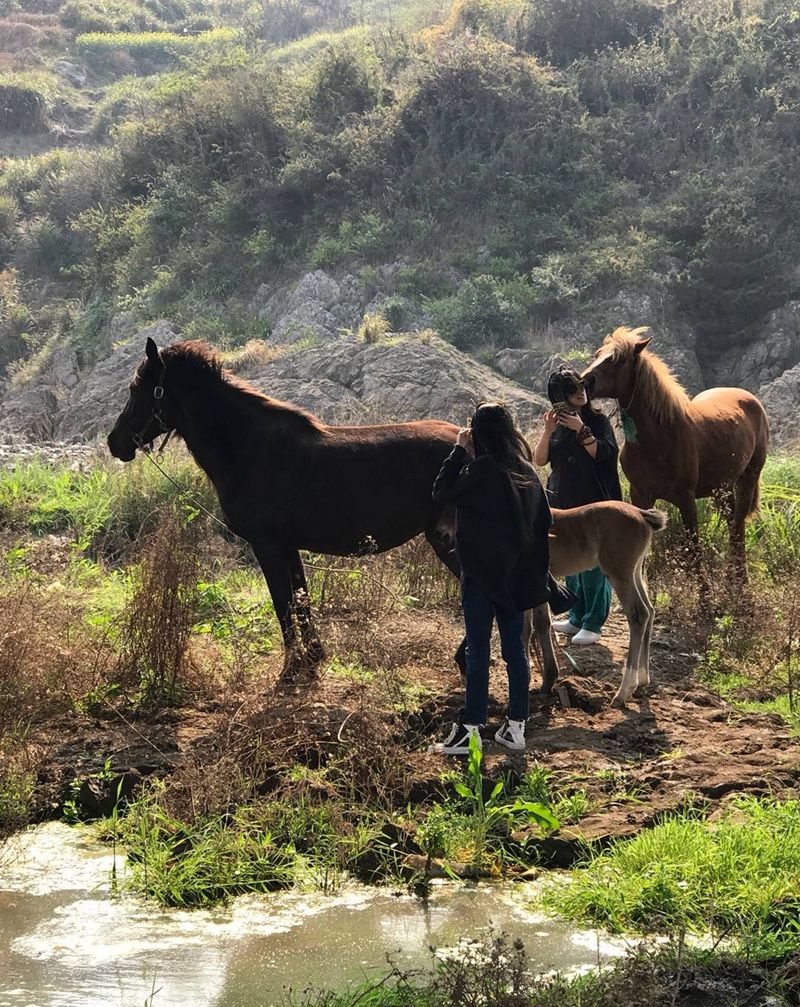 黑风当妈了 幸福纹身图片_手稿写实清新欧美传统习俗国画肖像动物鬼神纹身图案
