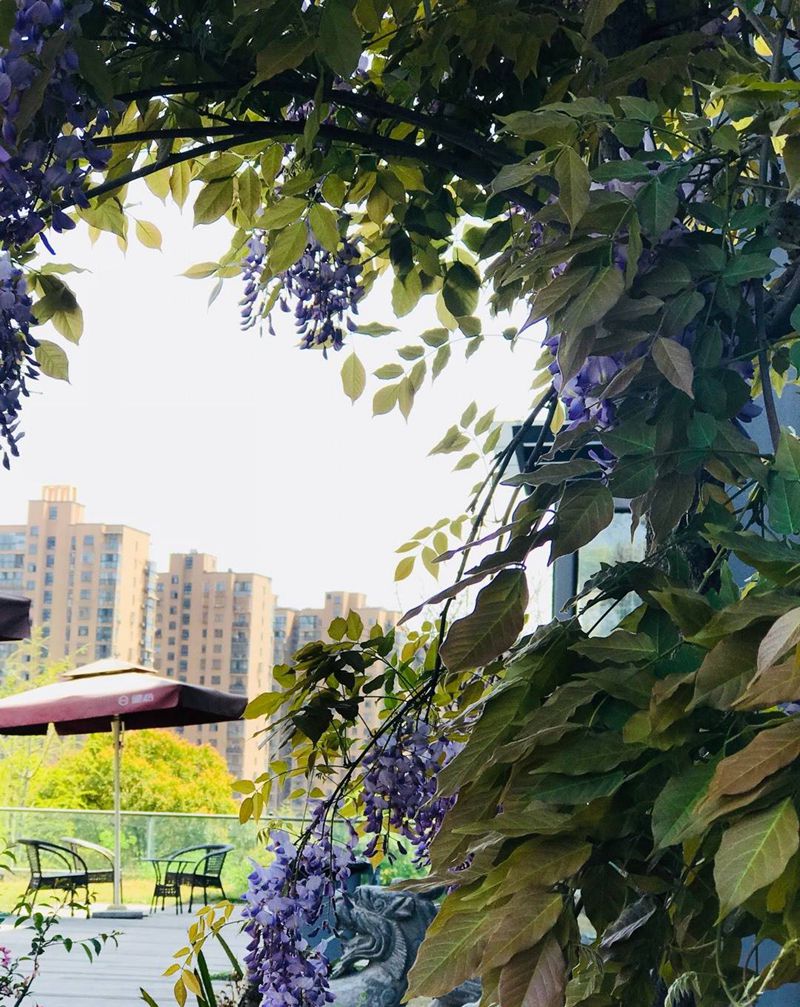 春天的异绣堂门口纹身图片_欧美国画肖像背部肩部腰部臀部胸部写实清新纹身图案