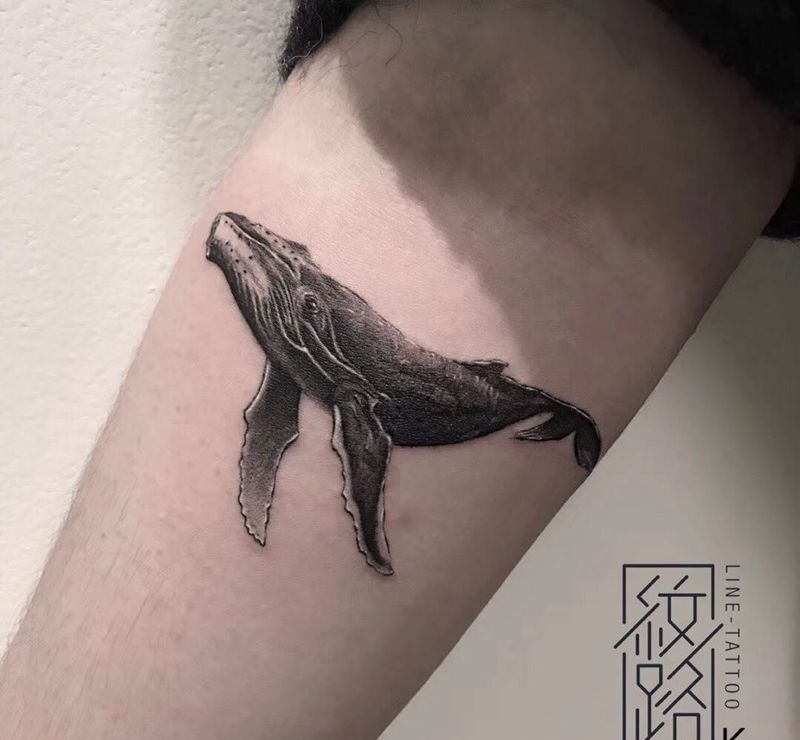 鲸纹身图片