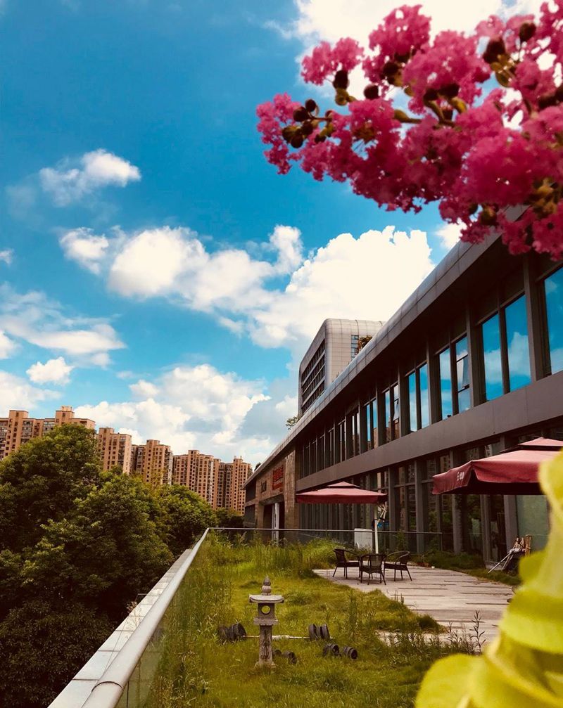 杭州异绣堂纹身图片_原创植物几何臀部传统背部清新颈部国画写实纹身图案