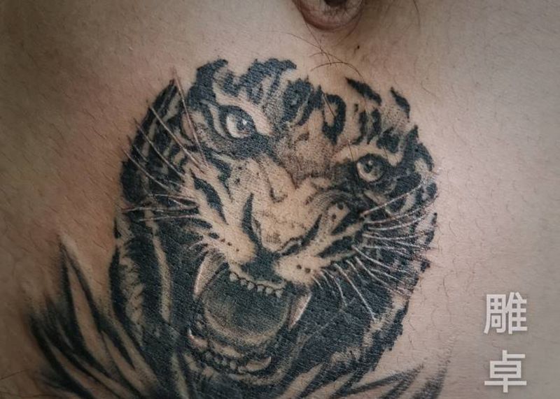 老虎遮盖纹身图片_腹部欧美写实老虎纹身图案