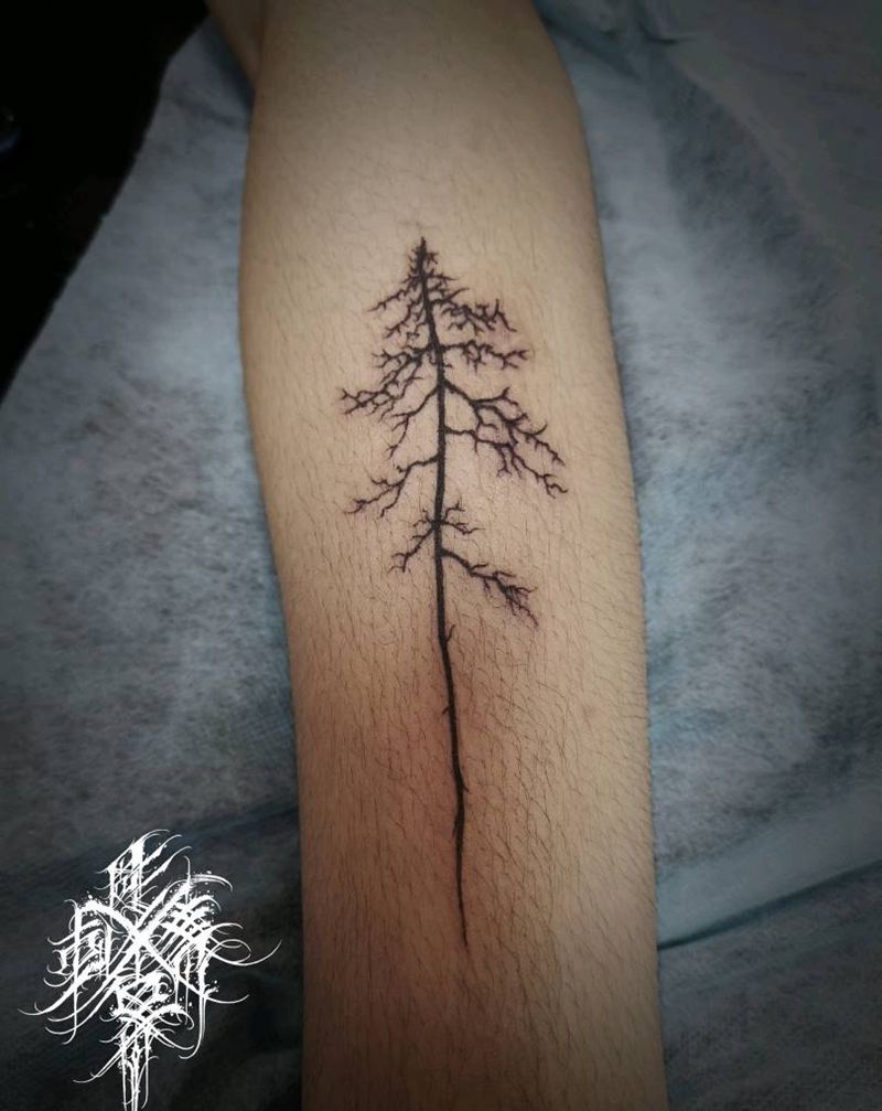 树纹身图片_手臂小清新树纹身图案