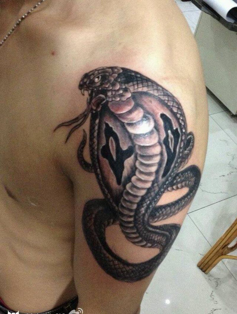 蛇纹身图片