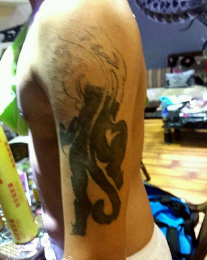 鲤鱼遮盖纹身图片