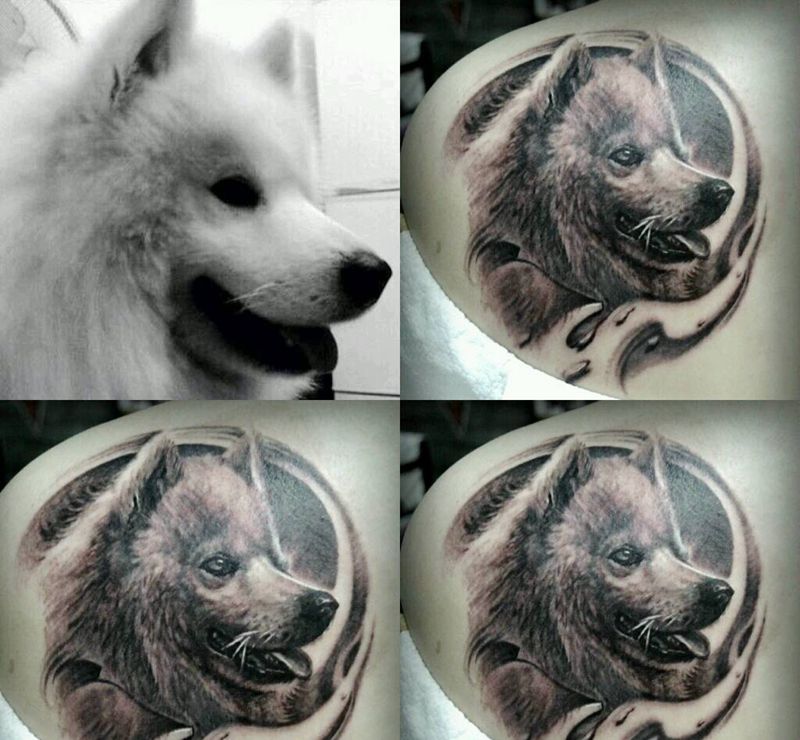 宠物纹身图片
