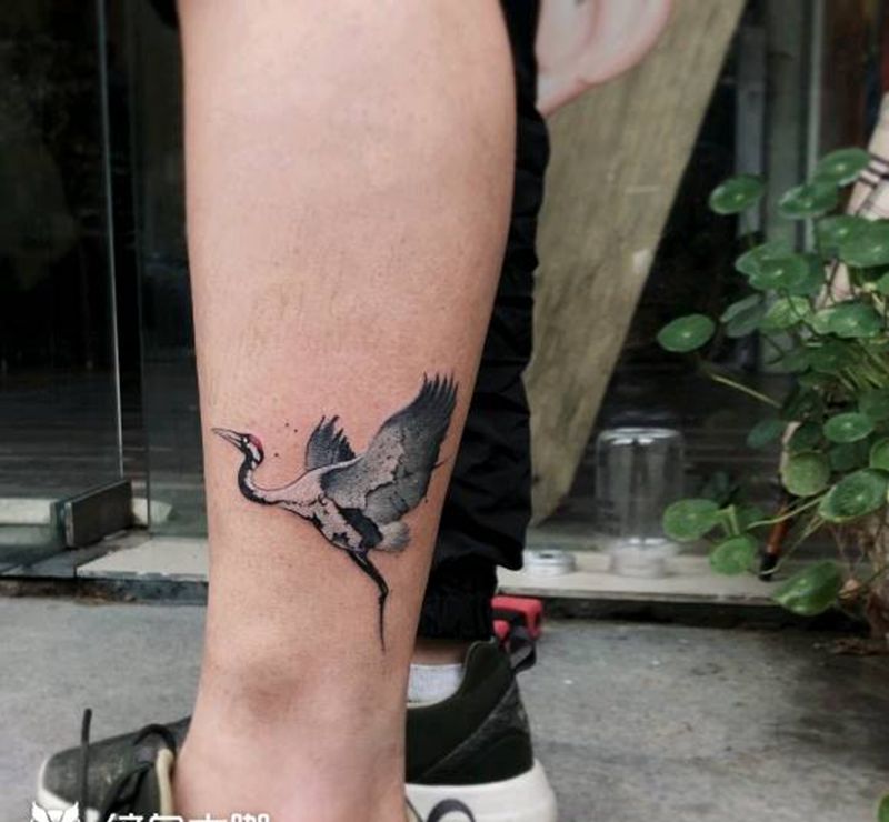 鹤纹身纹身图片_腿部鹤纹身图案