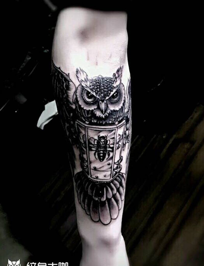 猫头鹰纹身图片