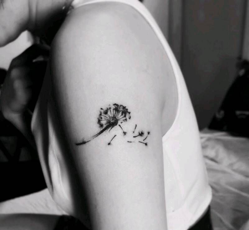 蒲公英纹身纹身图片_手臂纹身图案