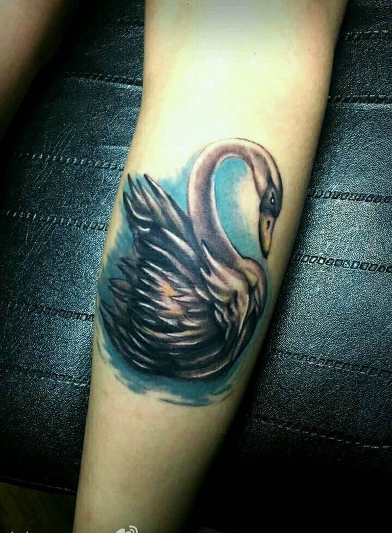 鹅纹身图片
