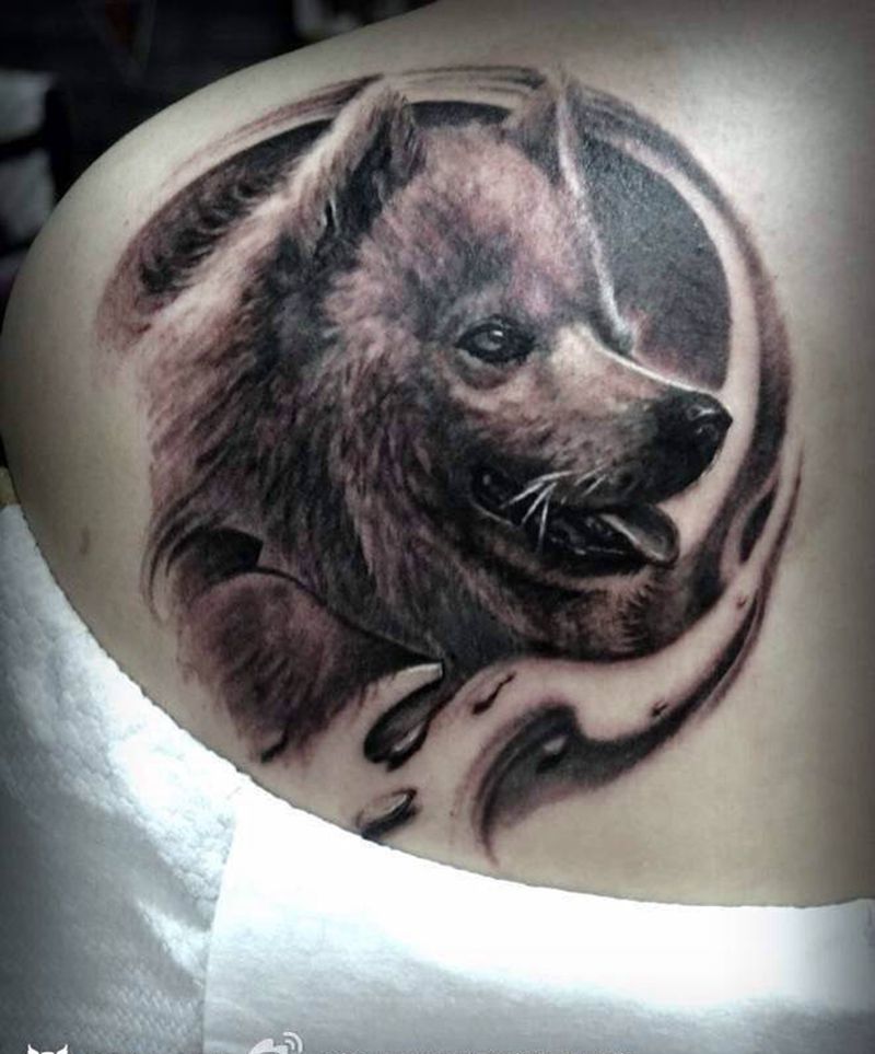 狗纹身图片