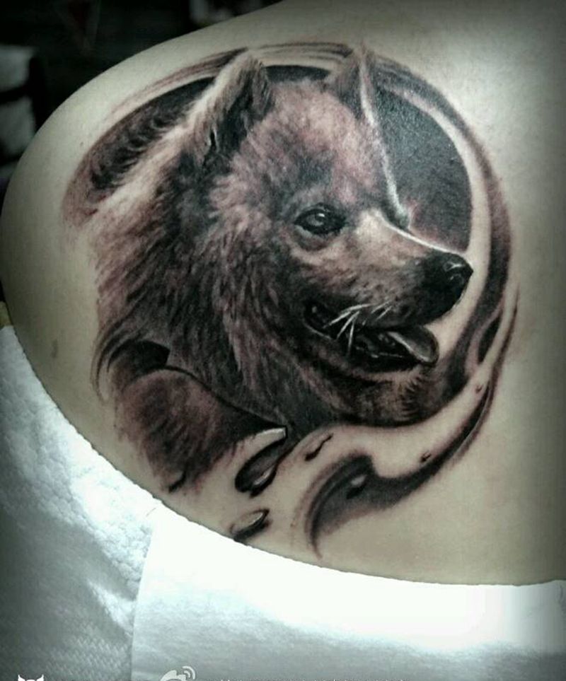 宠物纹身纹身图片