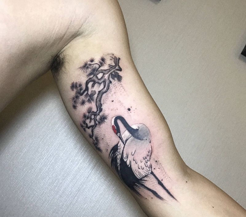 鶴纹身图片_手臂水墨纹身图案