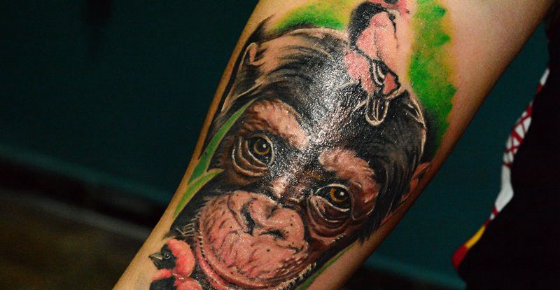 猴子猩猩纹身图片_手臂欧美写实猴子猩猩纹身图案