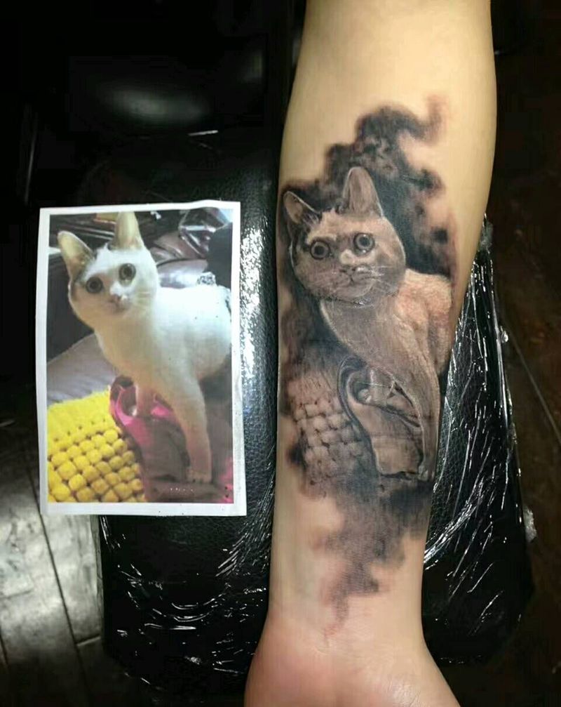 猫纹身图片