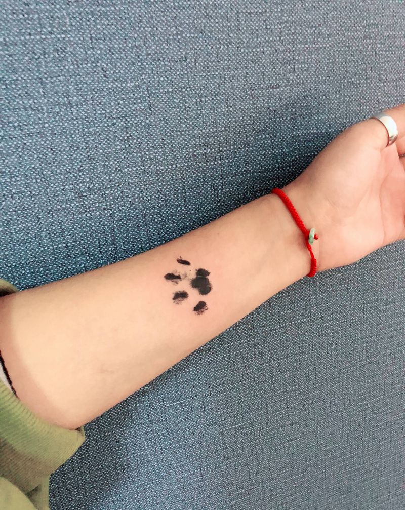 猫抓印纹身图片