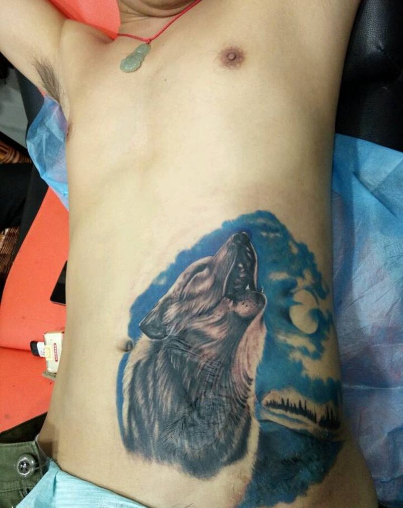 疤痕遮盖纹身图片_腹部写实动物成品纹身图案