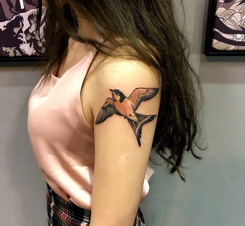 美女手臂燕子纹身图片