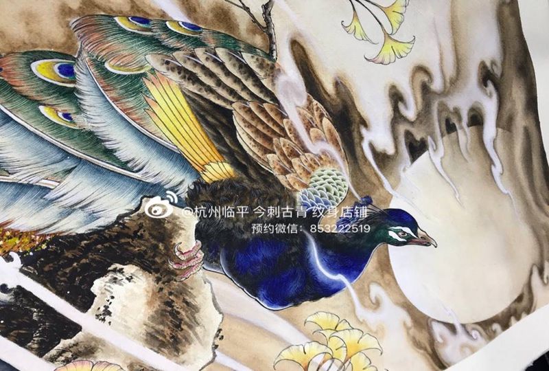 孔雀望月纹身图片_手稿背部手臂腿部原创花臂女神传统动物纹身图案