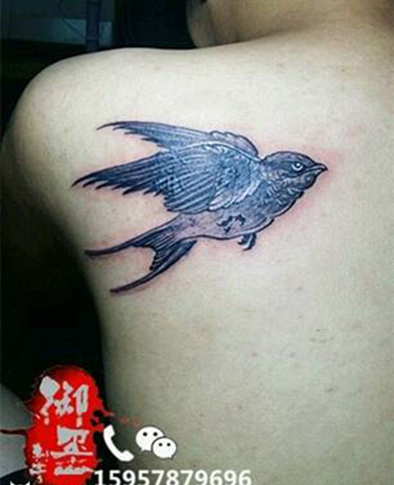 燕子遮盖纹身图片_背部传统习俗清新动物成品纹身图案