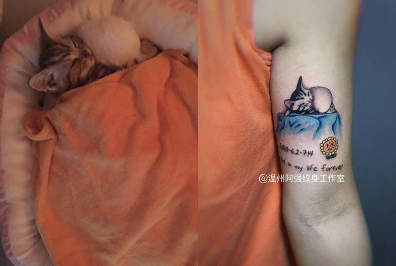 猫咪纹身图片