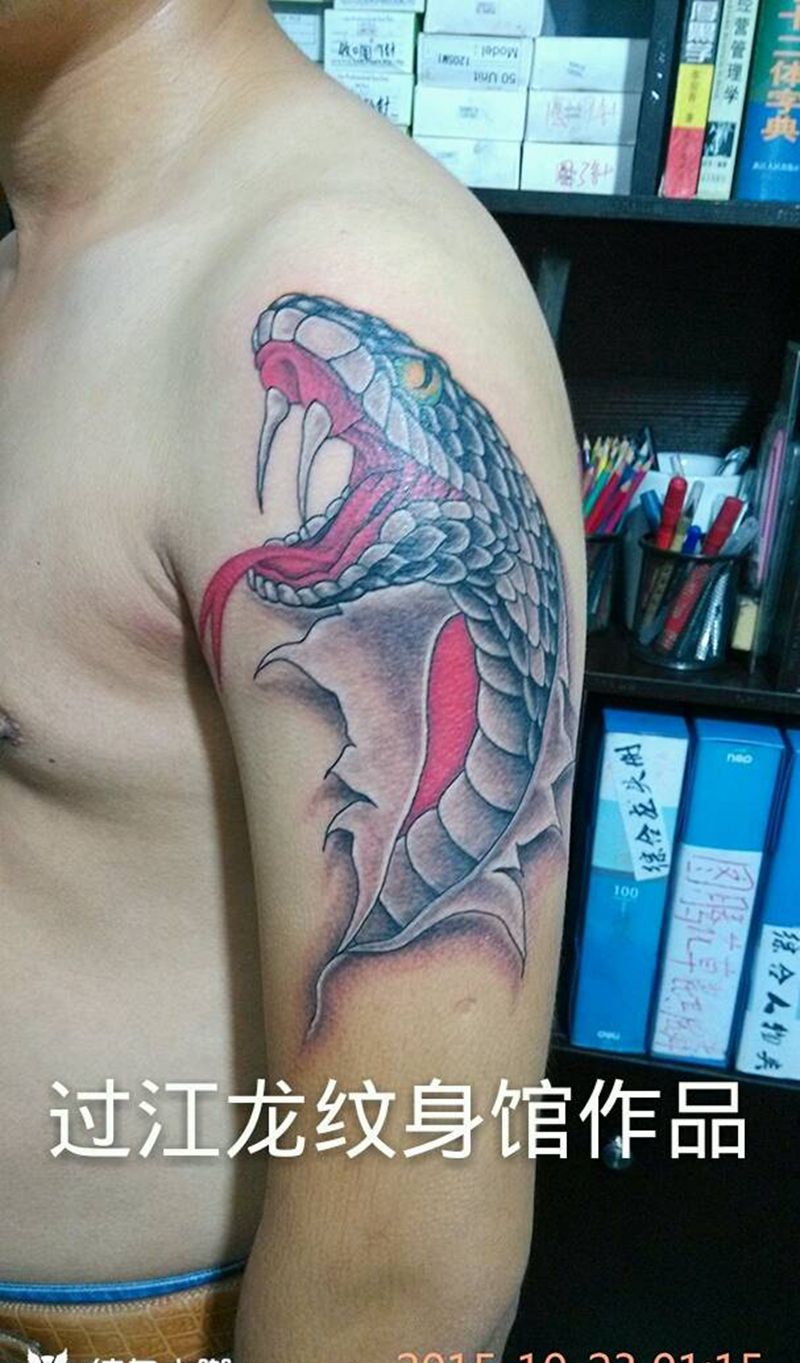 蛇纹身图片_手臂传统动物纹身图案