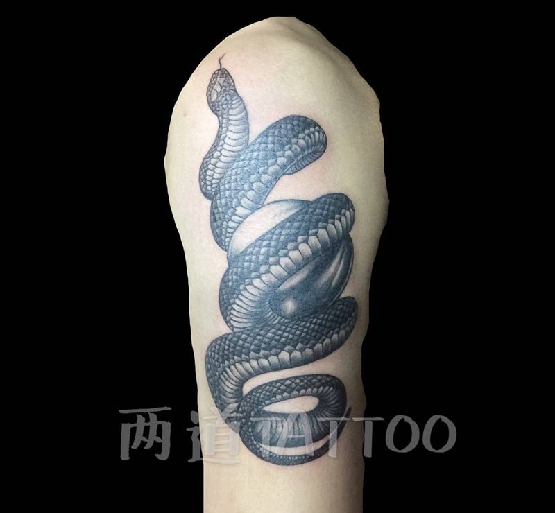蛇纹身图片