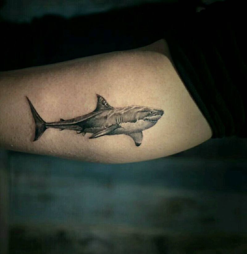 私教小鲨鱼纹身图片_腿部欧美写实纹身图案