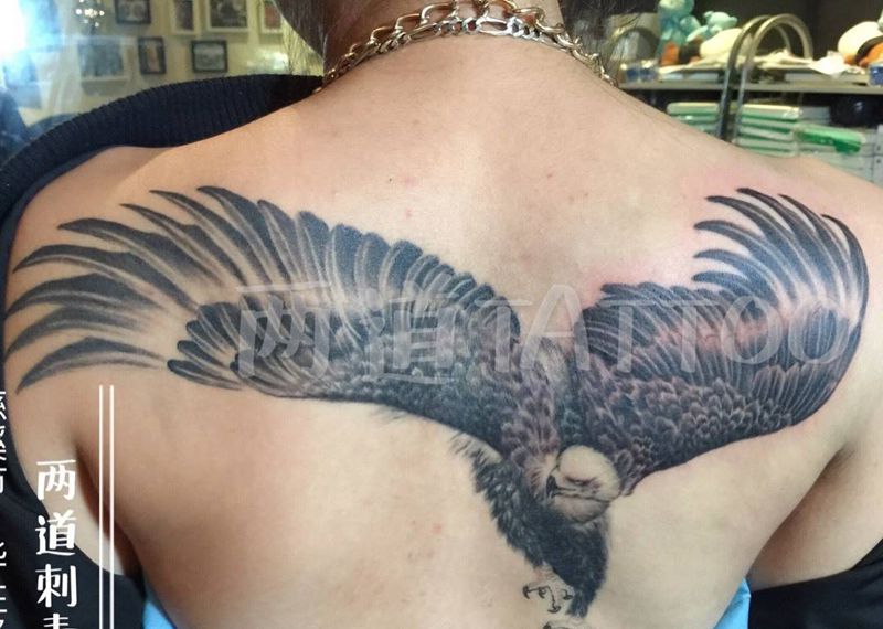 雄鹰展翅纹身图片
