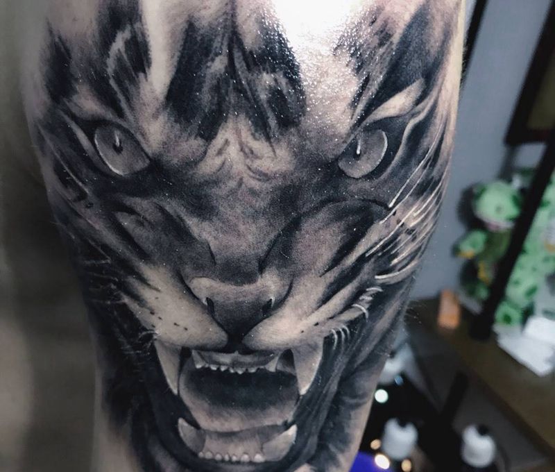 老虎纹身图片_成品手臂纹身图案