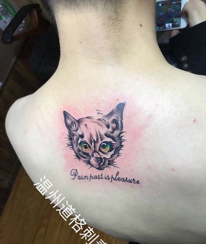 猫猫纹身图片
