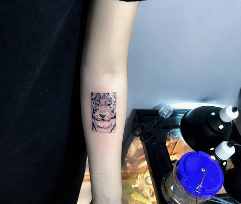 吴亦凡的老虎纹身纹身图片