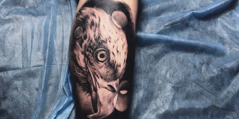 鹰纹身图片_成品腿部欧美纹身图案