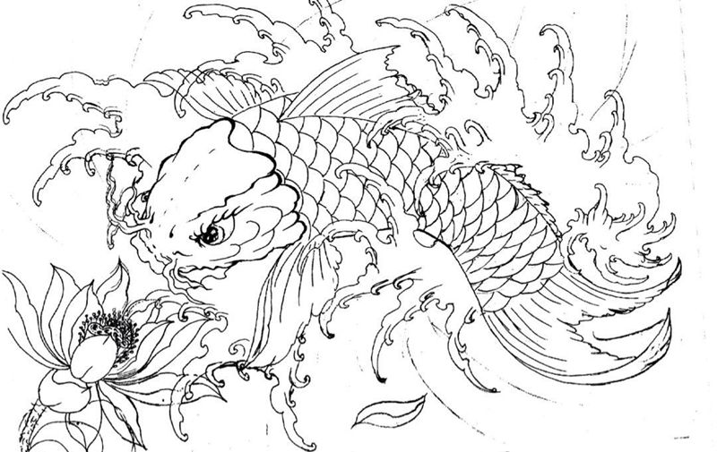 荷欢纹身图片_手稿肩部胸部背部手臂腿部臀部传统动物原创纹身图案