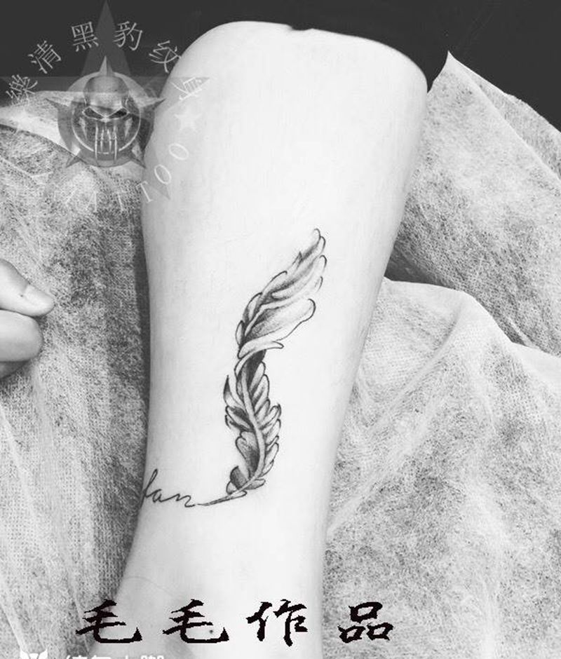 羽毛，纹身图片